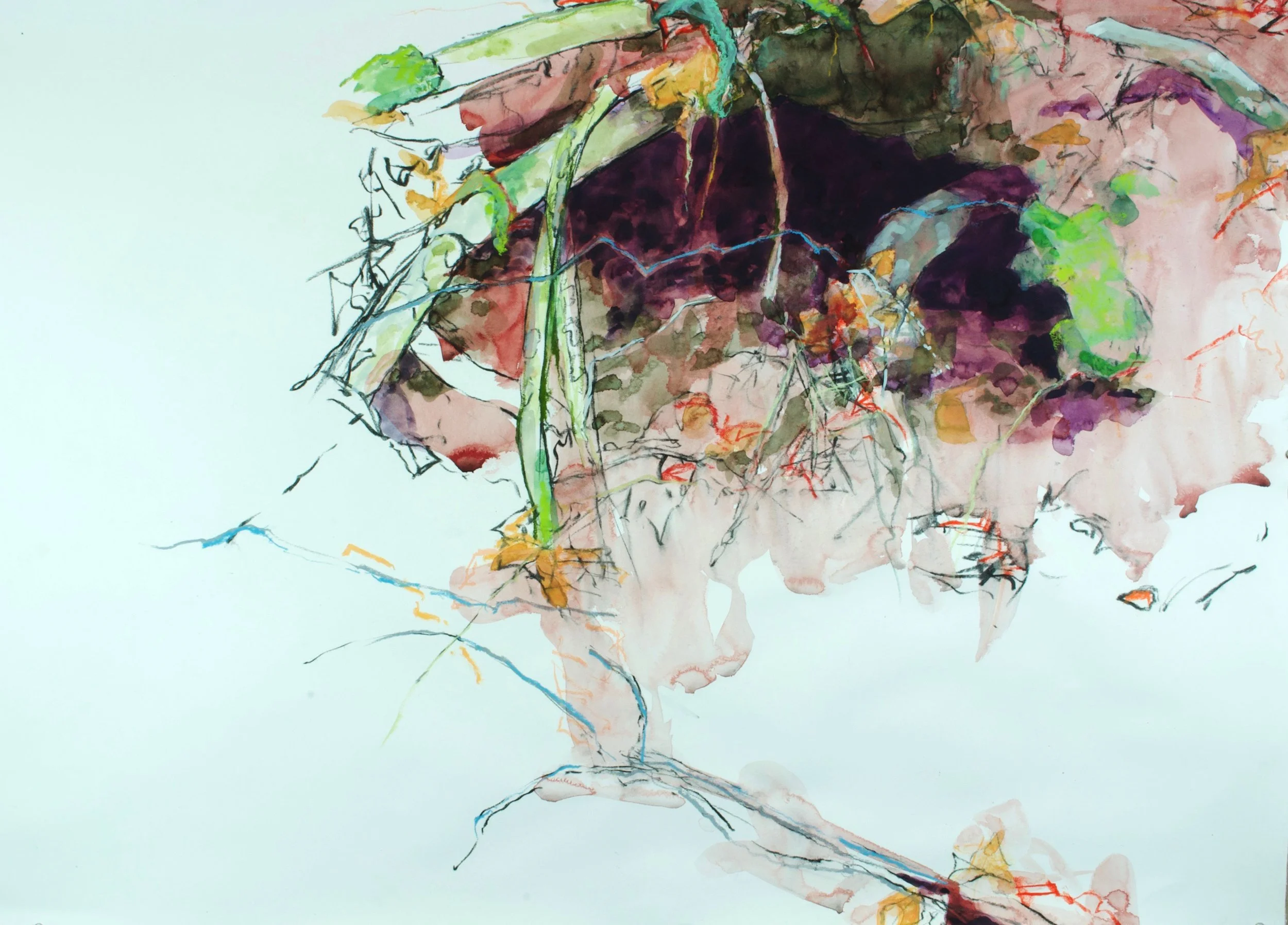 Hole, Roots, Detritus gouache/charcoal/pastel 30x42" 21 April 22