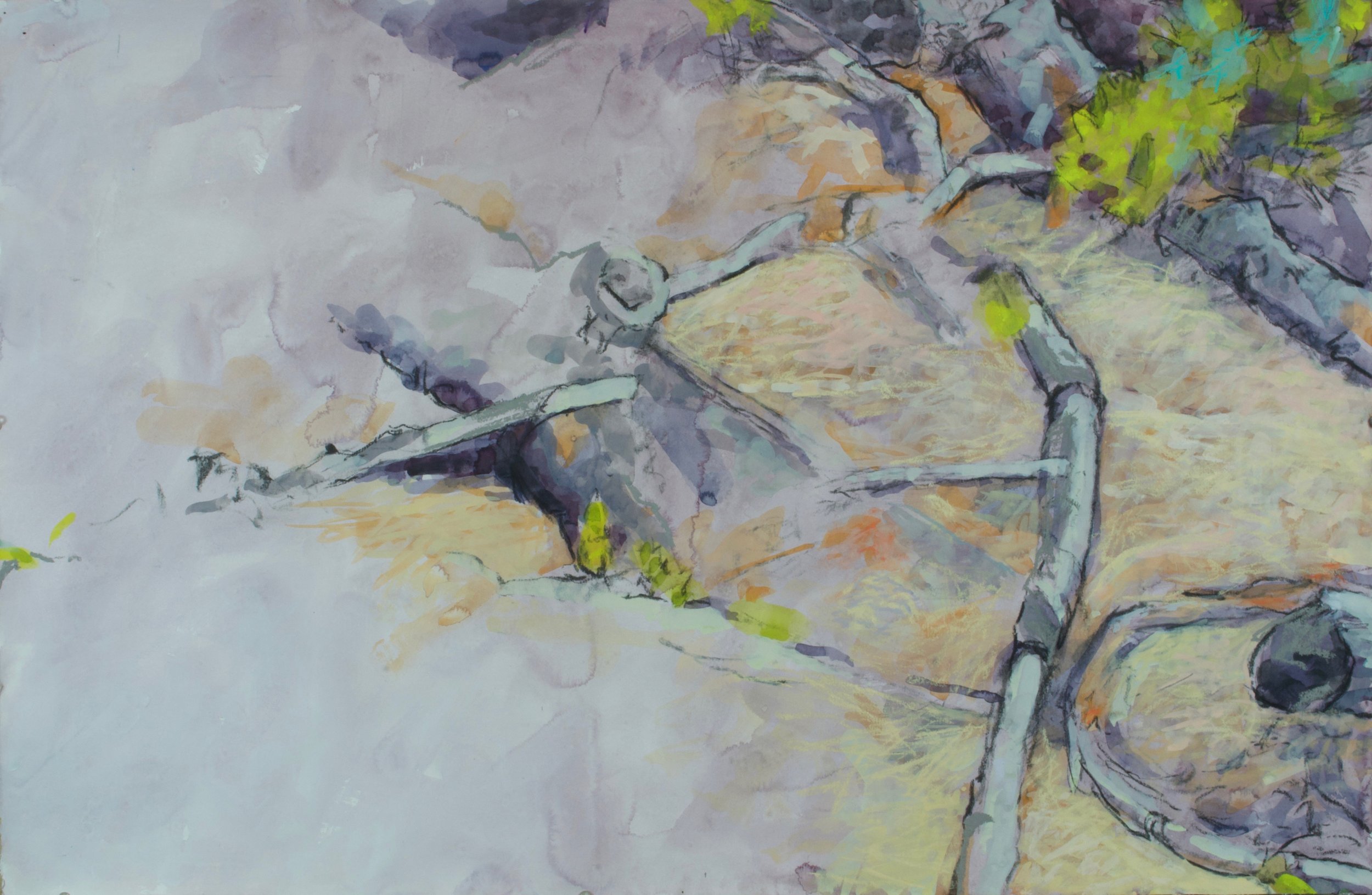 Detritus, Pine Barrens gouache/pastel/charcoal 24.75x38" 25 Feb 22