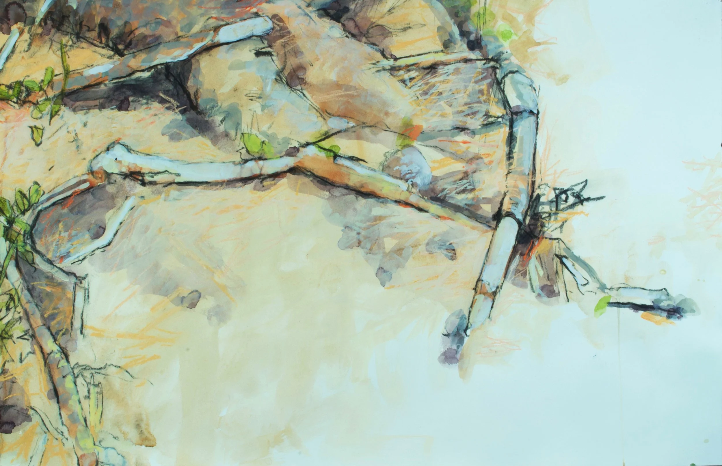Detritus, Pine Barrens gouache/charcoal/pastel 25x38" 30 Jan 22