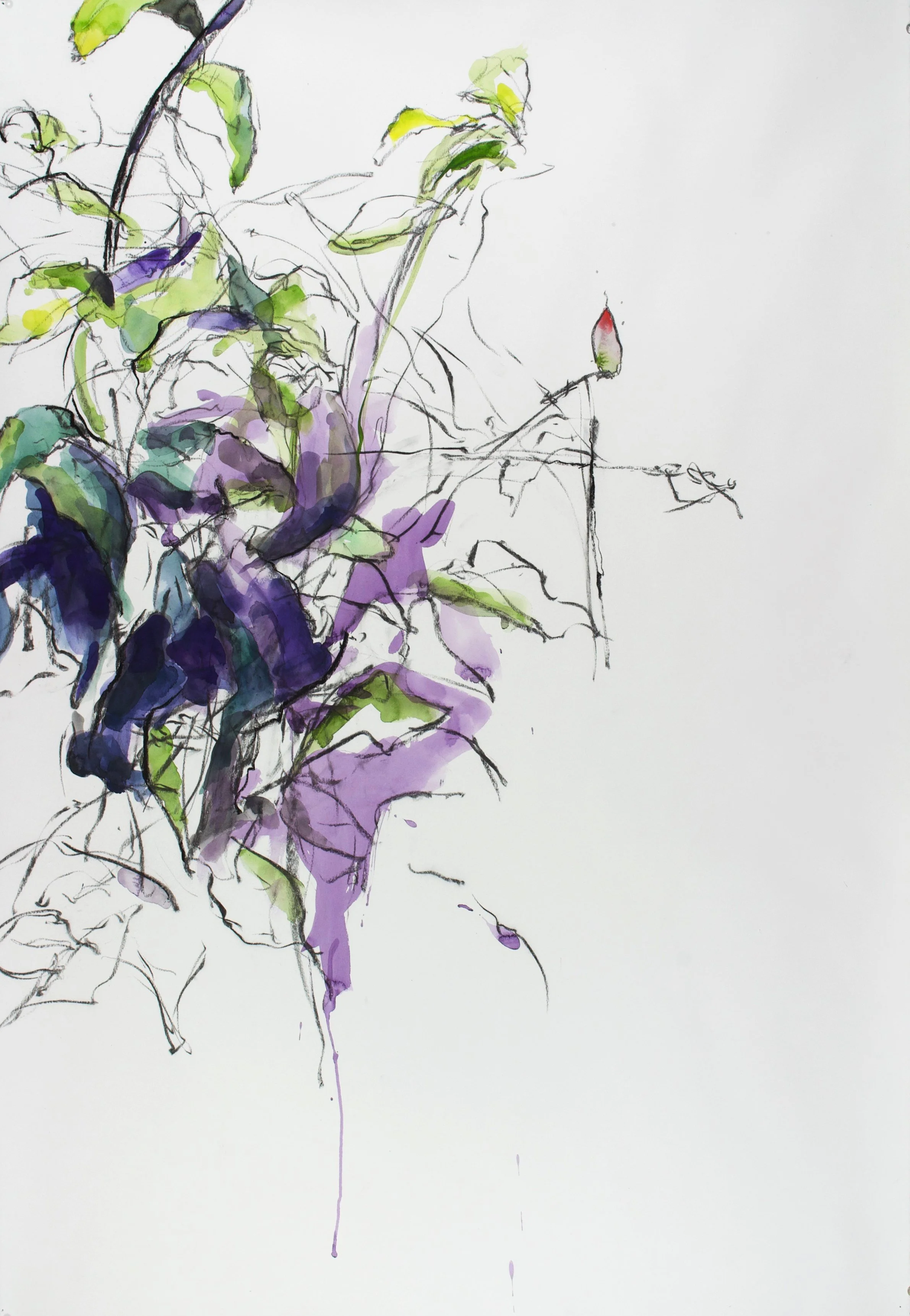 Rose of Sharon gouache/charcoal/conte 44x30" 11 Feb 21