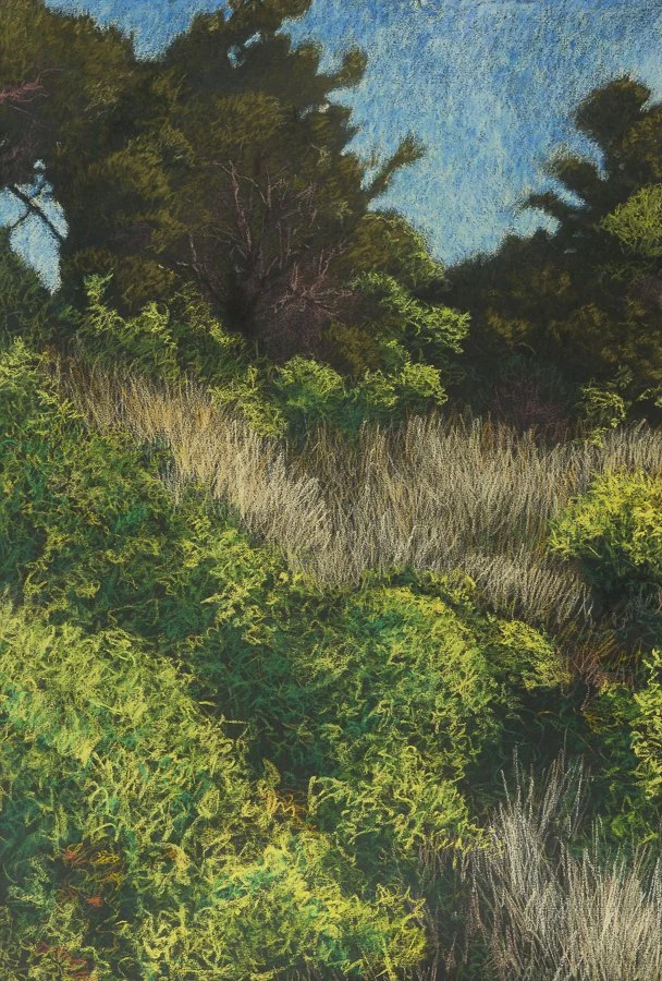 Nantucket Nu-pastel 44.5x30" July 2015