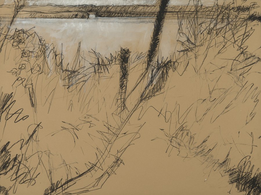 Hummock Pond conte/gouache 22x30" July 2015