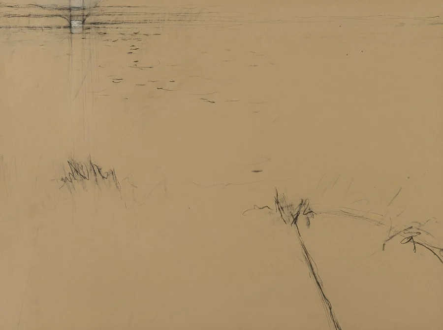Hummock Pond charcoal/conte 22x30" July 2015