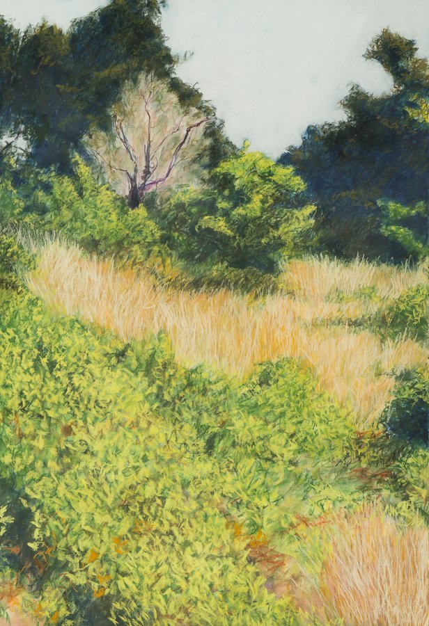 Field, Nantucket Nu-pastel/gouache 43.75x30" June 2016
