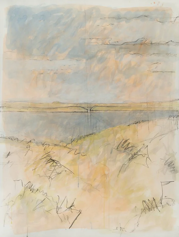 Hummock Pond conte/charcoal/gouache 50x38" July 2015