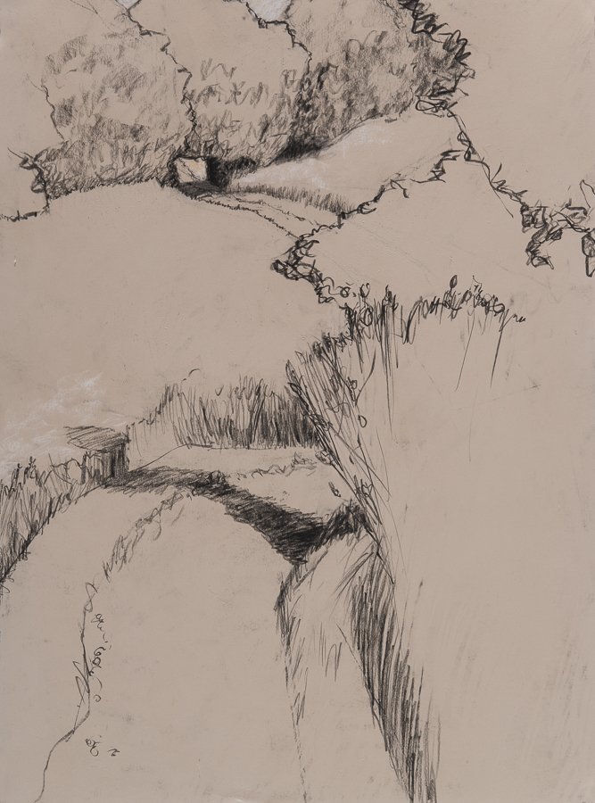 Path and Trees conte 30x22" July 2009