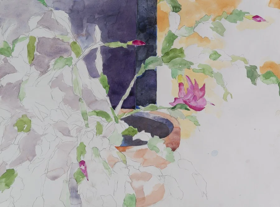 Christmas Cactus gouache/watercolor 30x22 Jan 2008