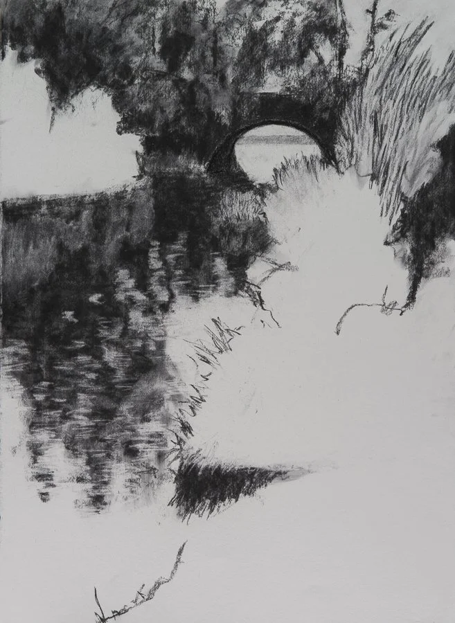 Marsh, Nantucket charcoal/conte 30x22" 2 Sept 2008