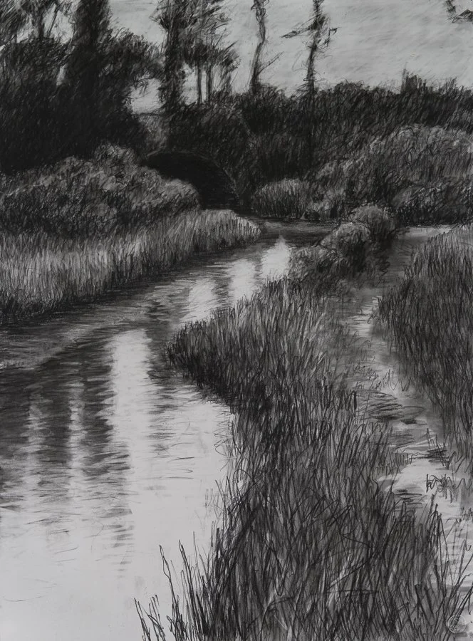 Marsh, Nantucket conte 30x22" 5 Aug 2008