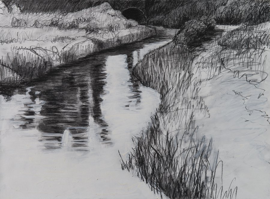 Marsh, Nantucket conte/acrylic 22x30" 22 Aug 2008