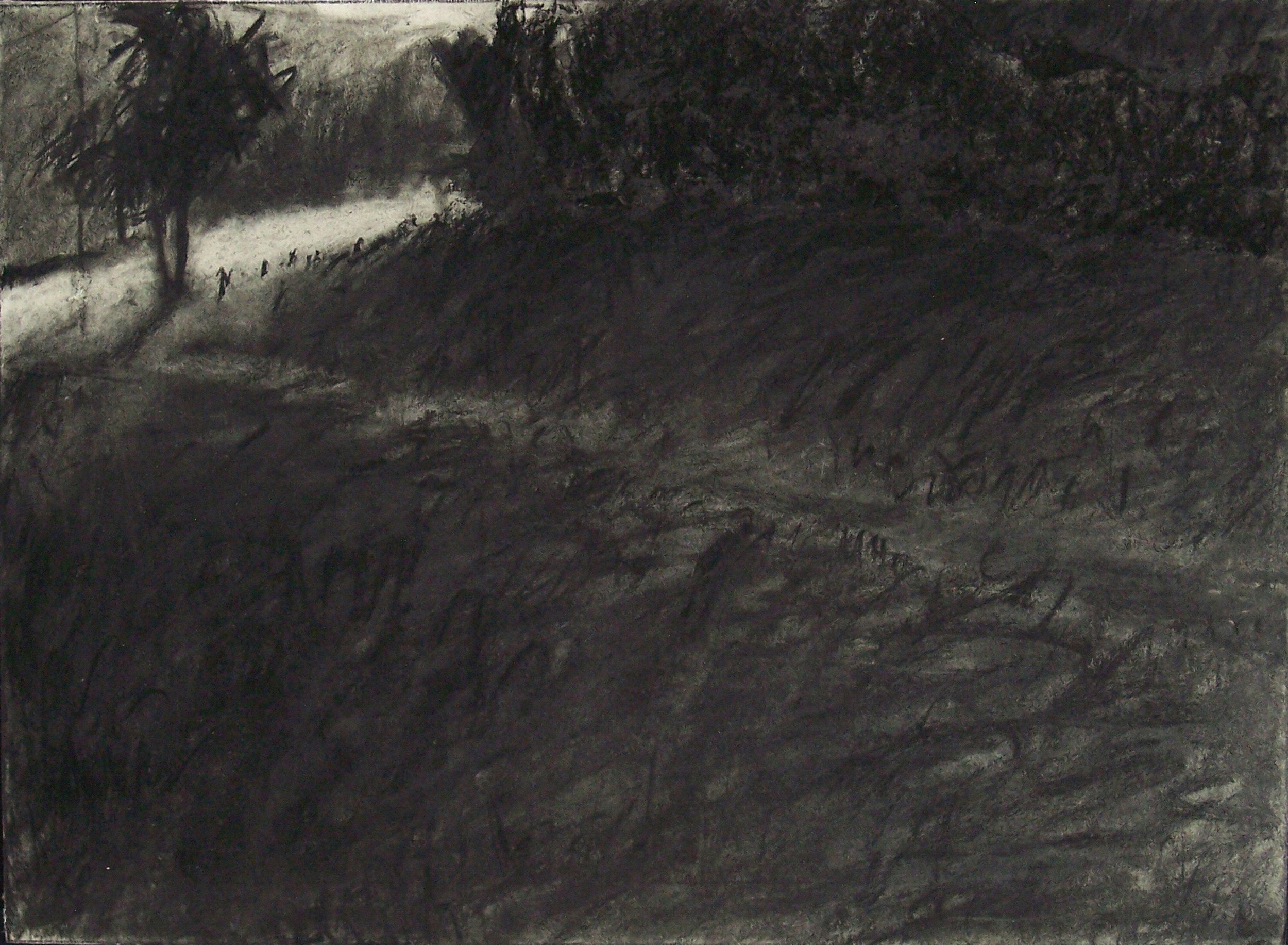 Landscape charcoal 22x28" 22 May 2007