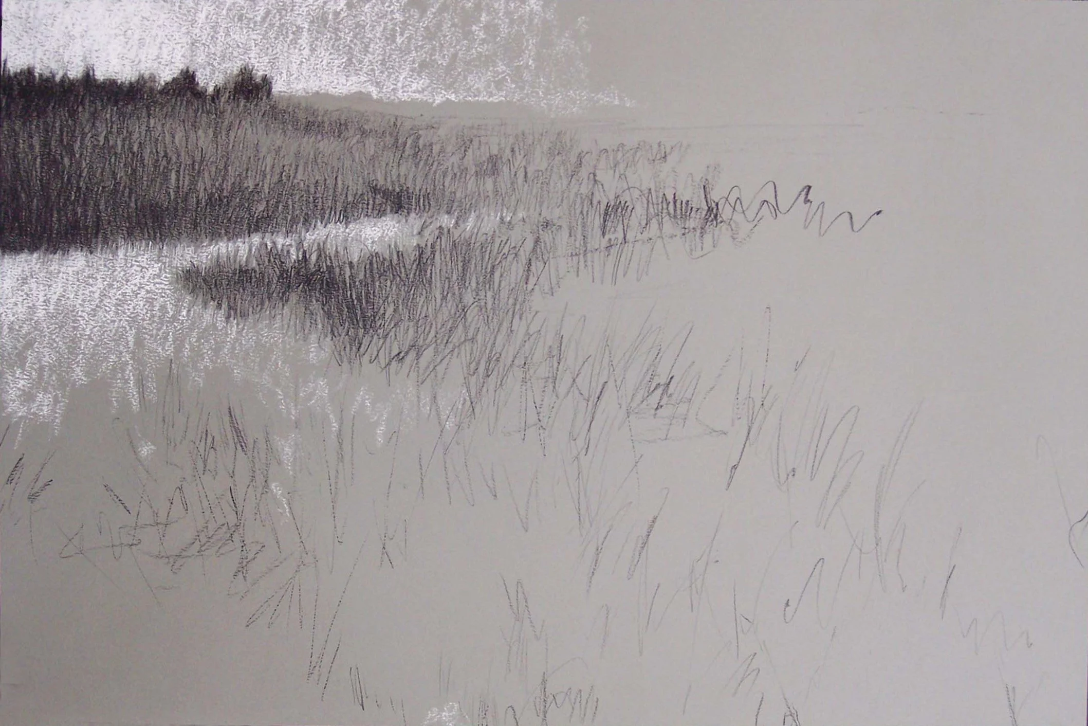 Marsh, Nantucket conte 22x30" 2005