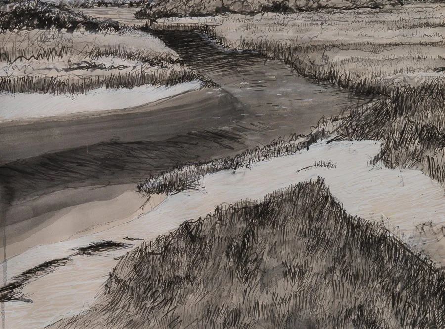 Marsh, Nantucket gouache/ink 22x30" August 2005