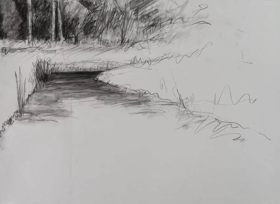 Marsh, Westport Island litho crayon/conte 22x30" 25 April 2005