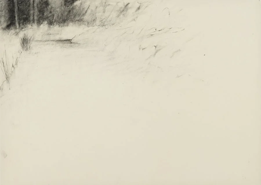 Marsh, Westport Island charcoal 19x26.5" 25 April 2005
