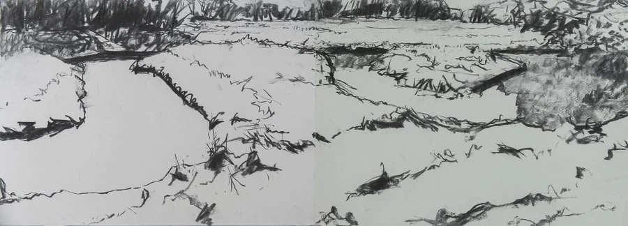Marsh, Westport Island charcoal 22x60" April 2005