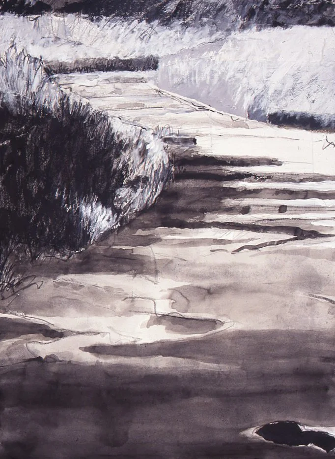 Marsh, Westport Island collage:mixed media 30x22" 24 Aug 05