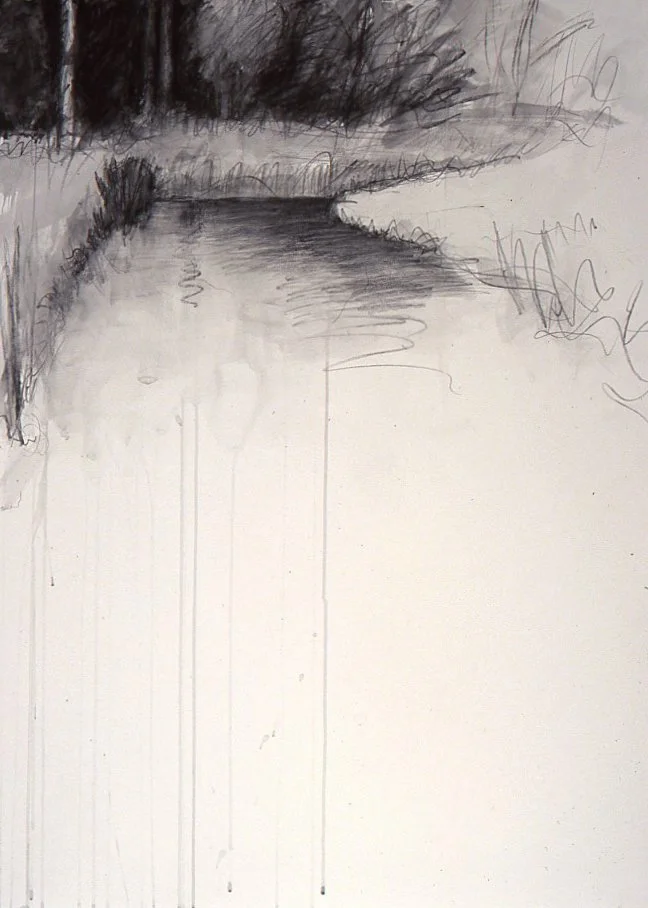 Marsh, Westport Island charcoal/conte 22x30" April 05