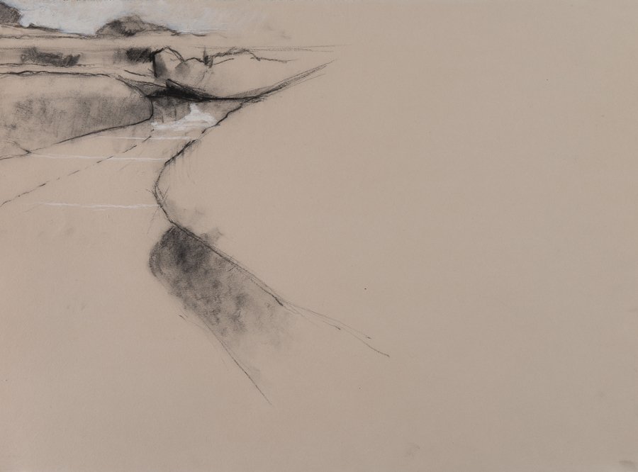 Marsh (Nantucket) charcoal/conte 22x30" July 03
