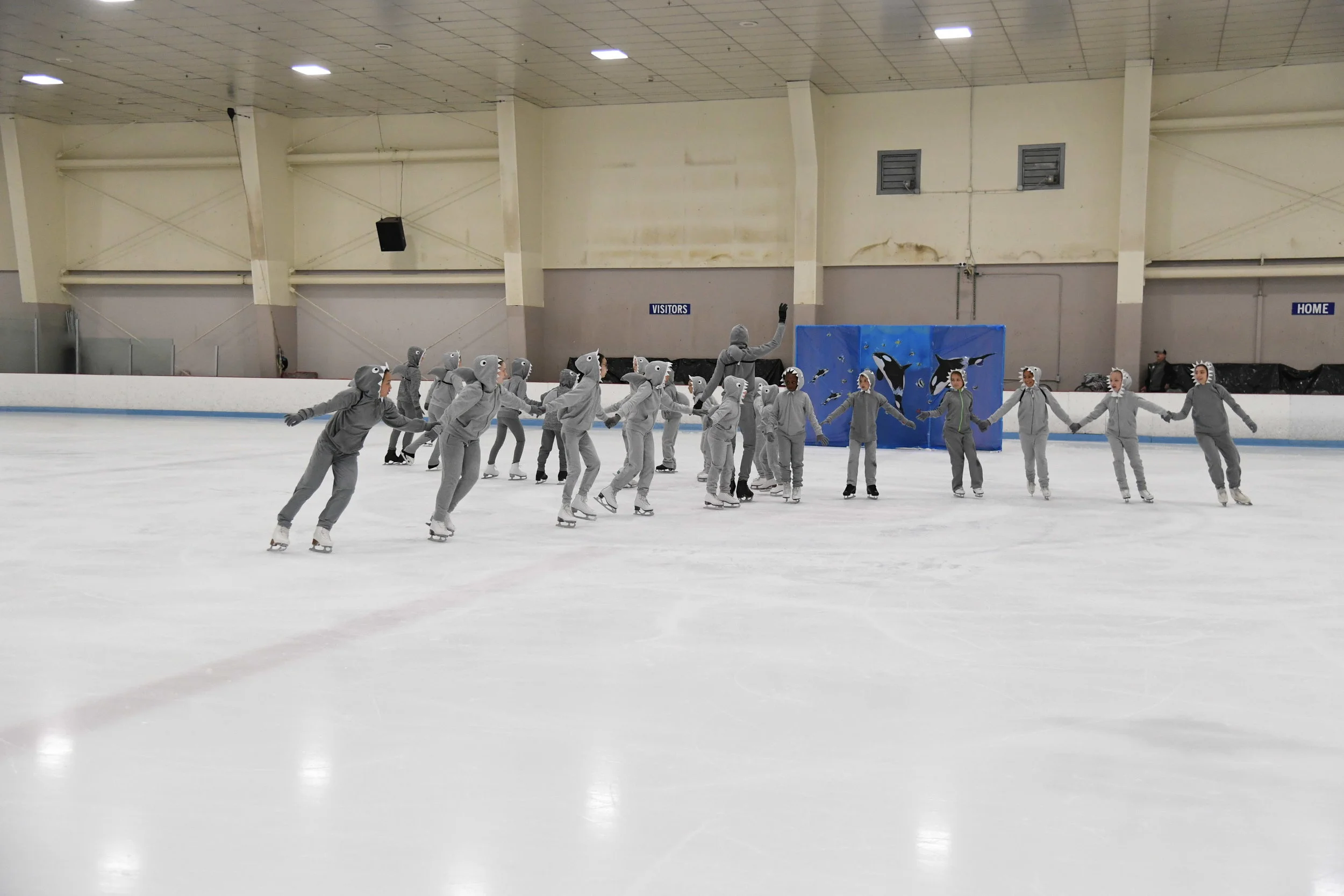 D5B_3415.JPG