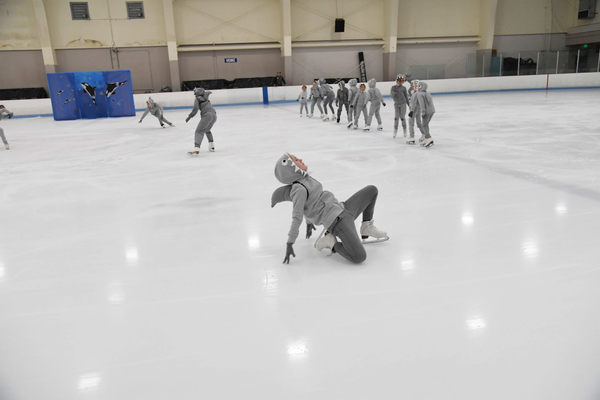D5B_3443.JPG