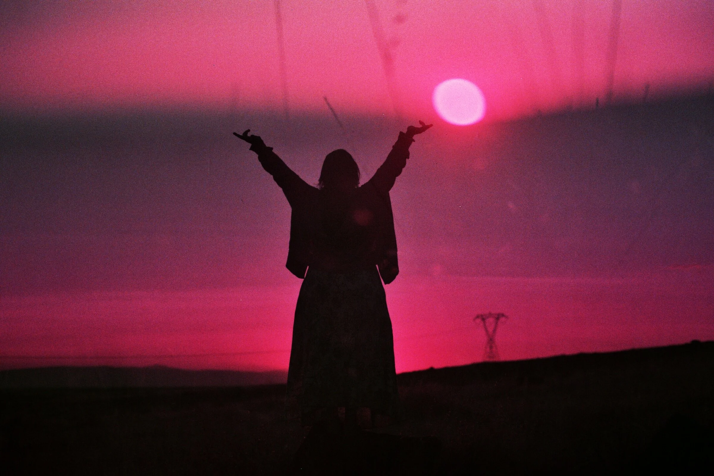  Photo by Cassie Corridoni  https://www.instagram.com/lovelytreetops/ 