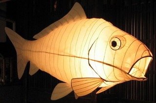 Fish lantern at night.jpeg