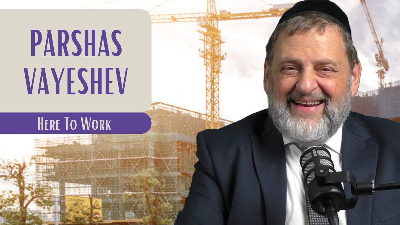 Vayeshev - Here To Work