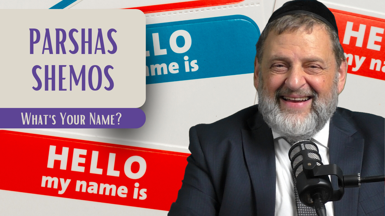 Shemos - What's Your Name?