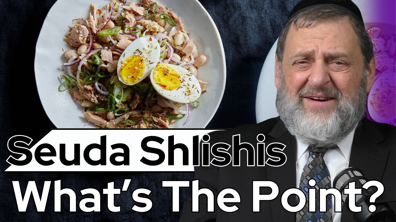 Seuda Shlishis - What’s The Point? (Ep. 218) episode artwork