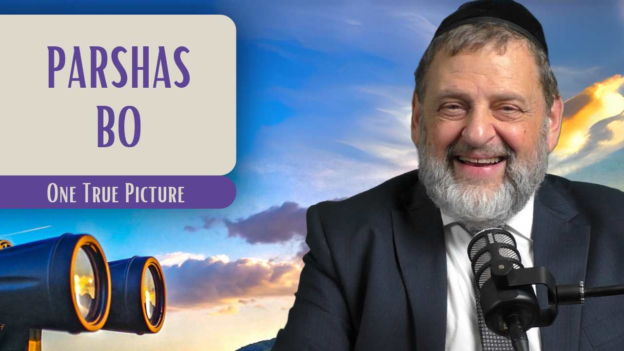 Bo - One True Picture