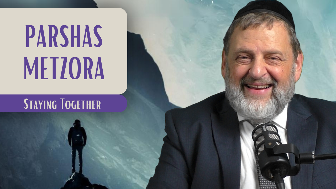 Metzora - Staying Together