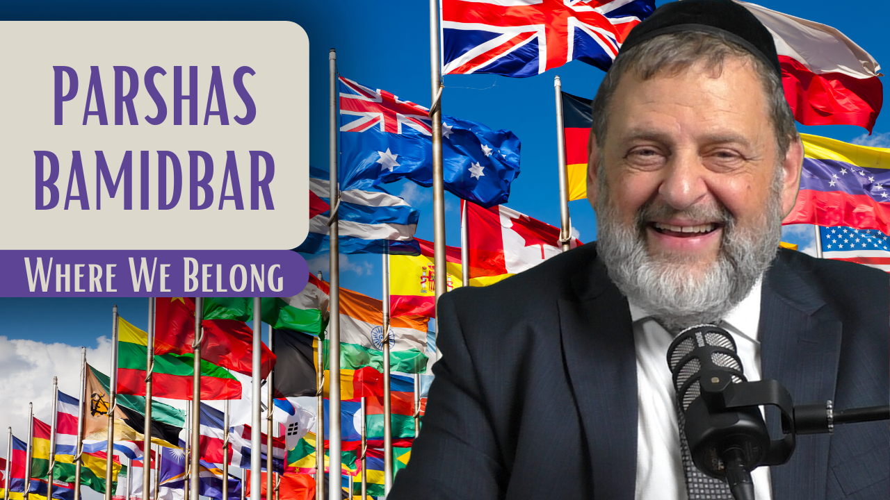 Bamidbar - Where We Belong