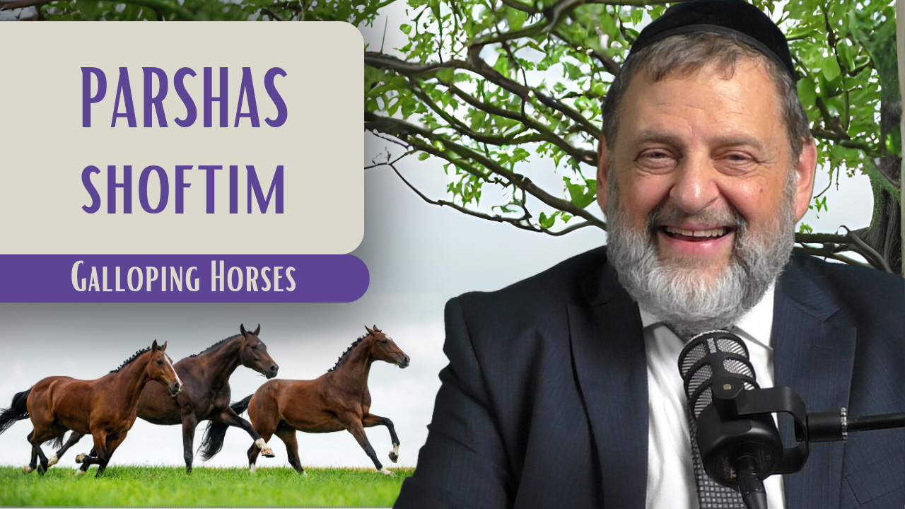 Shoftim - Galloping Horses episode artwork