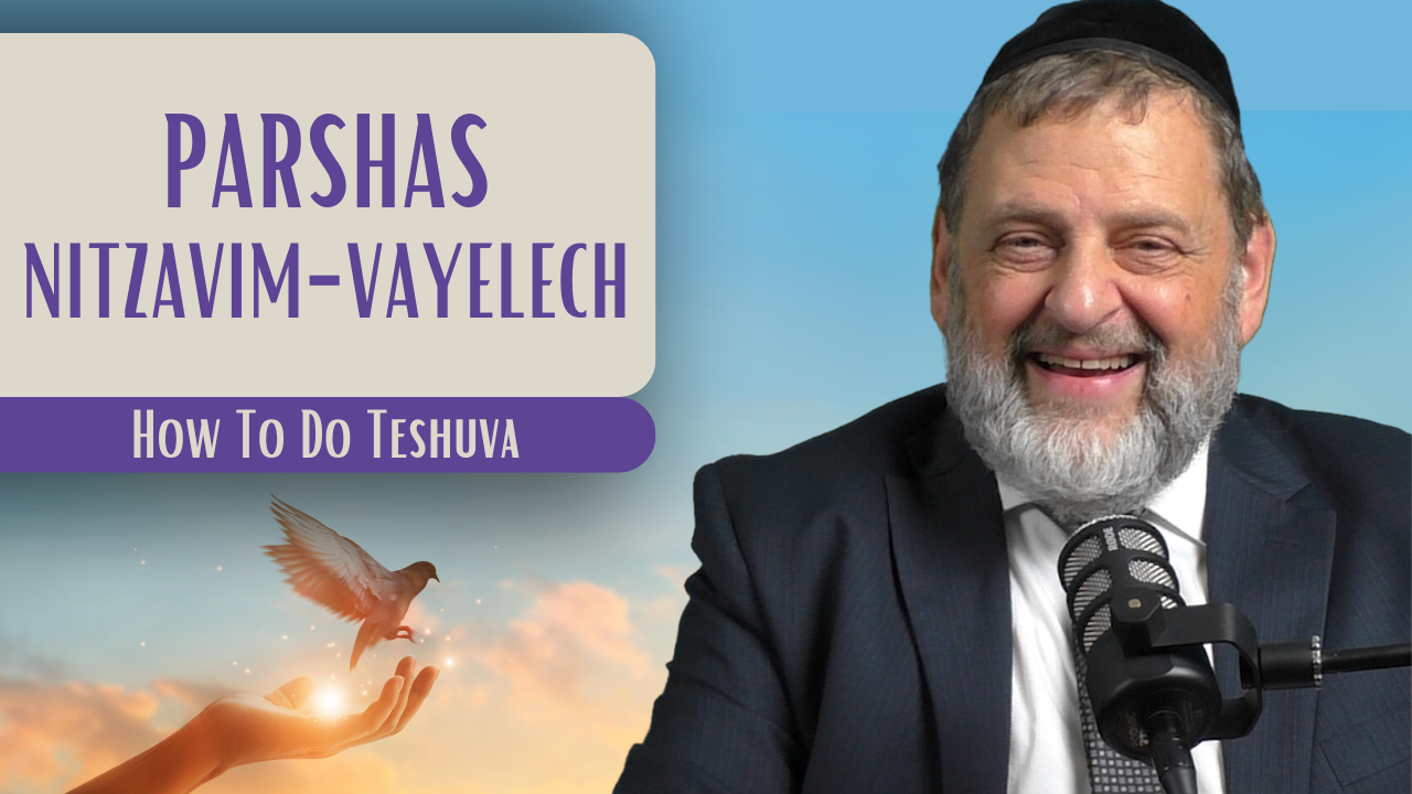 Nitzavim-Vayelech - How To Do Teshuva episode artwork
