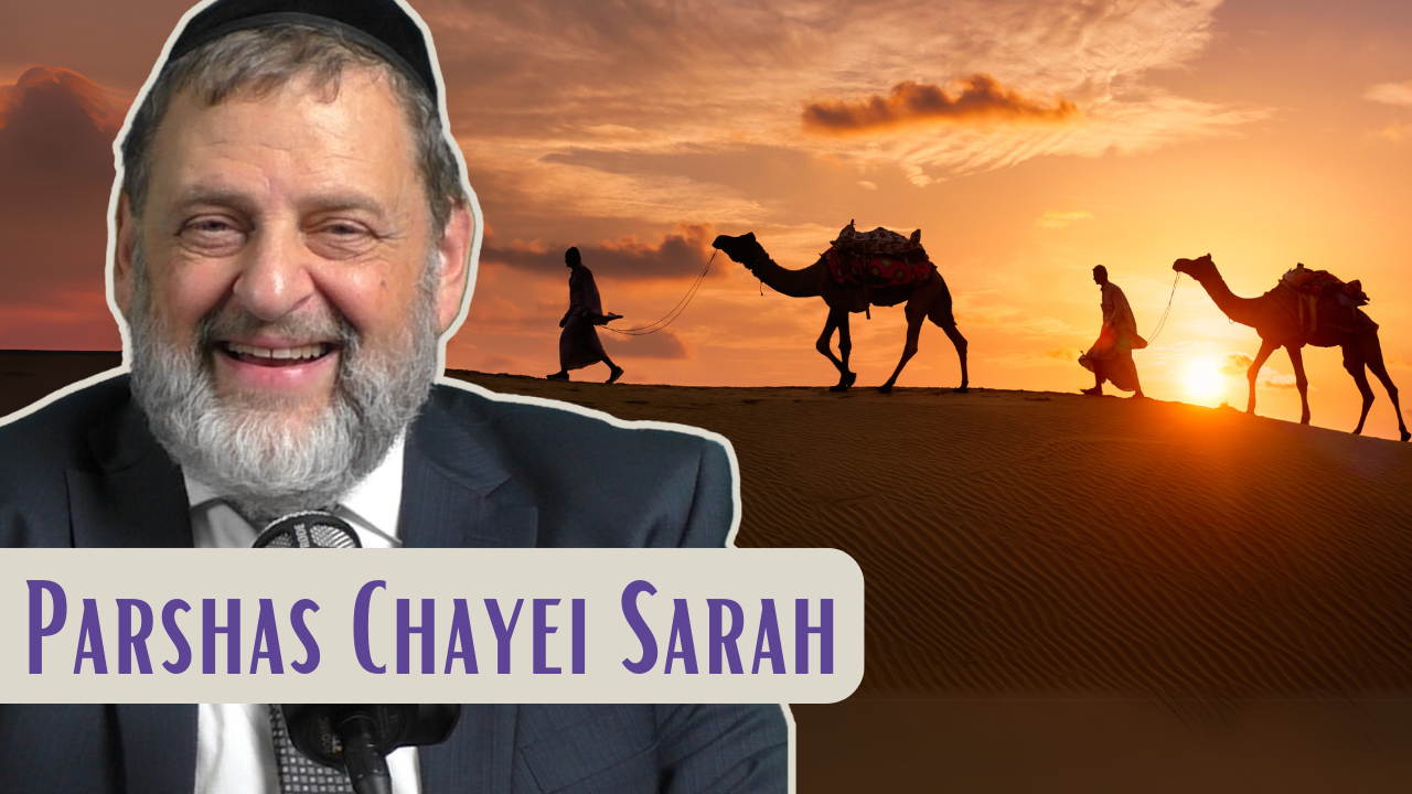 Chayei Sarah - Chesed Is For Everyone episode artwork
