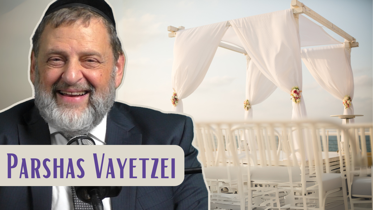 Vayetzei - What’s Going On??? episode artwork