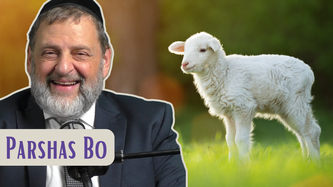 Bo - Slaughter The Idols