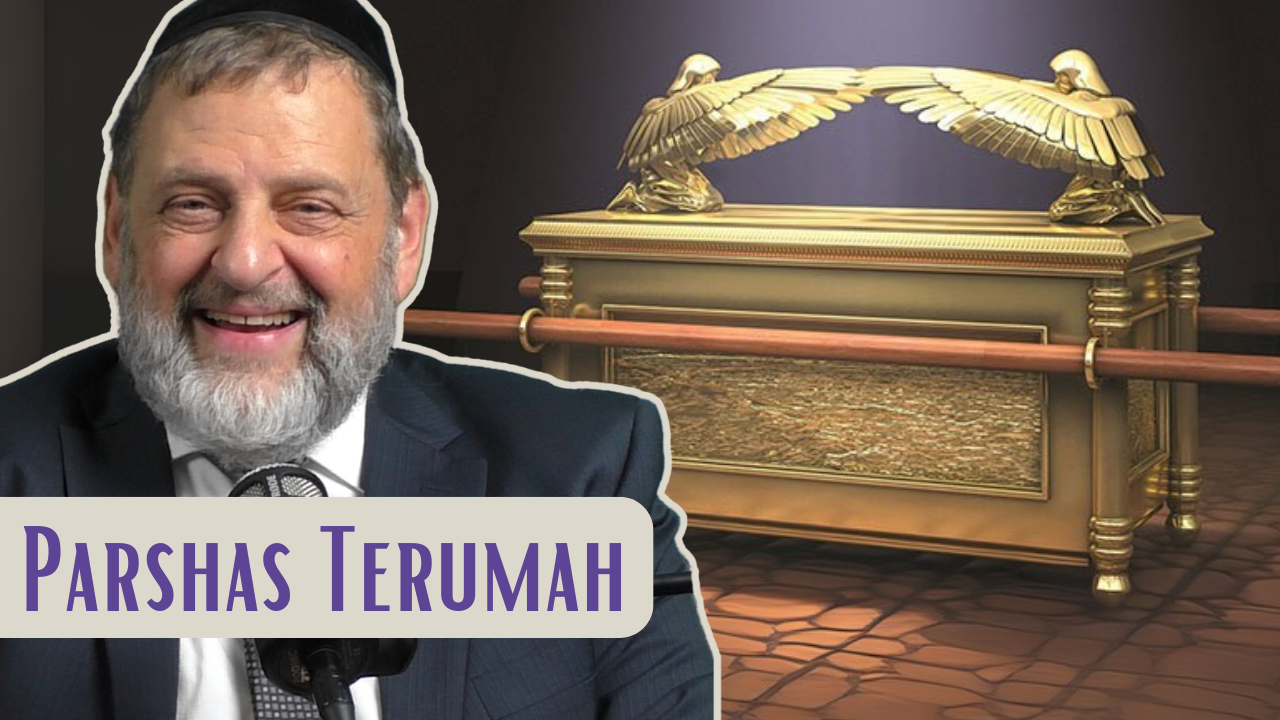 Terumah - Opportunity To Do Good episode artwork