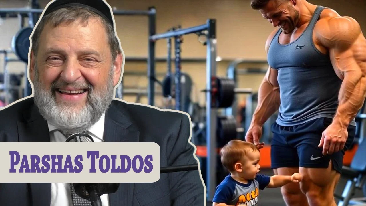Toldos - True Power