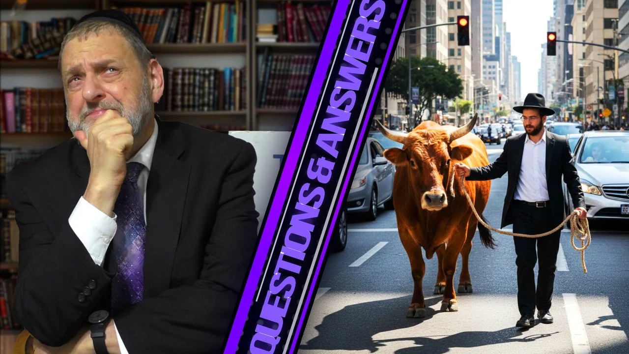 Why Do Our Kids Have to Learn About Oxen and Pitchers?