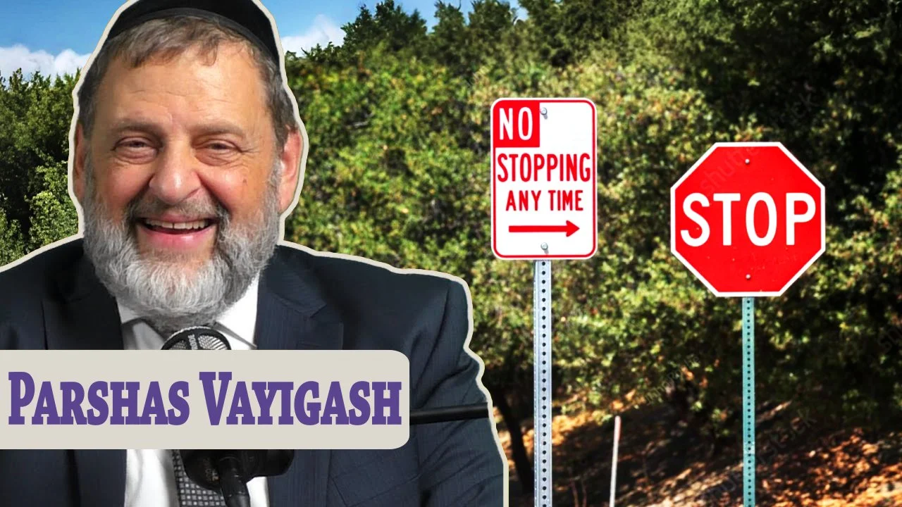 Vayigash - Contradictions