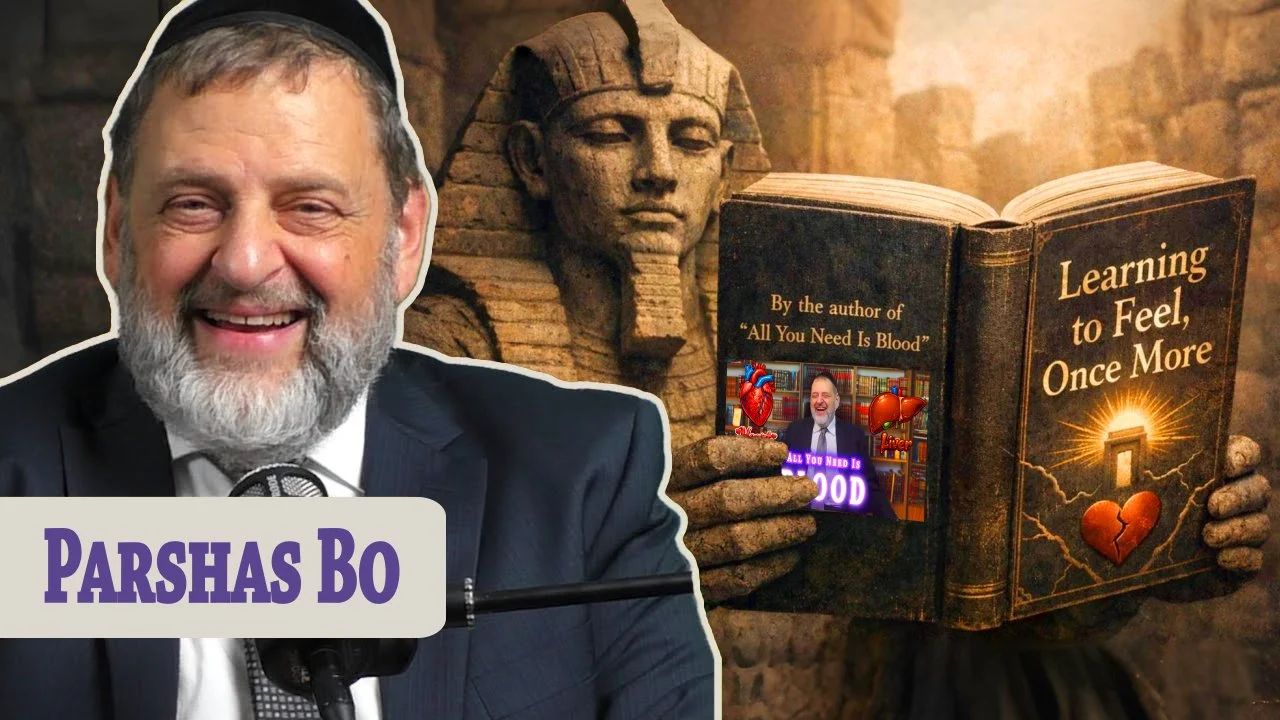 Bo - Learning to Feel, Once More