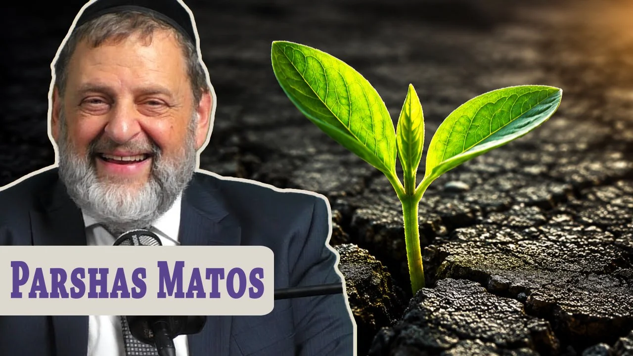 Matos: When There's Life, There's Hope