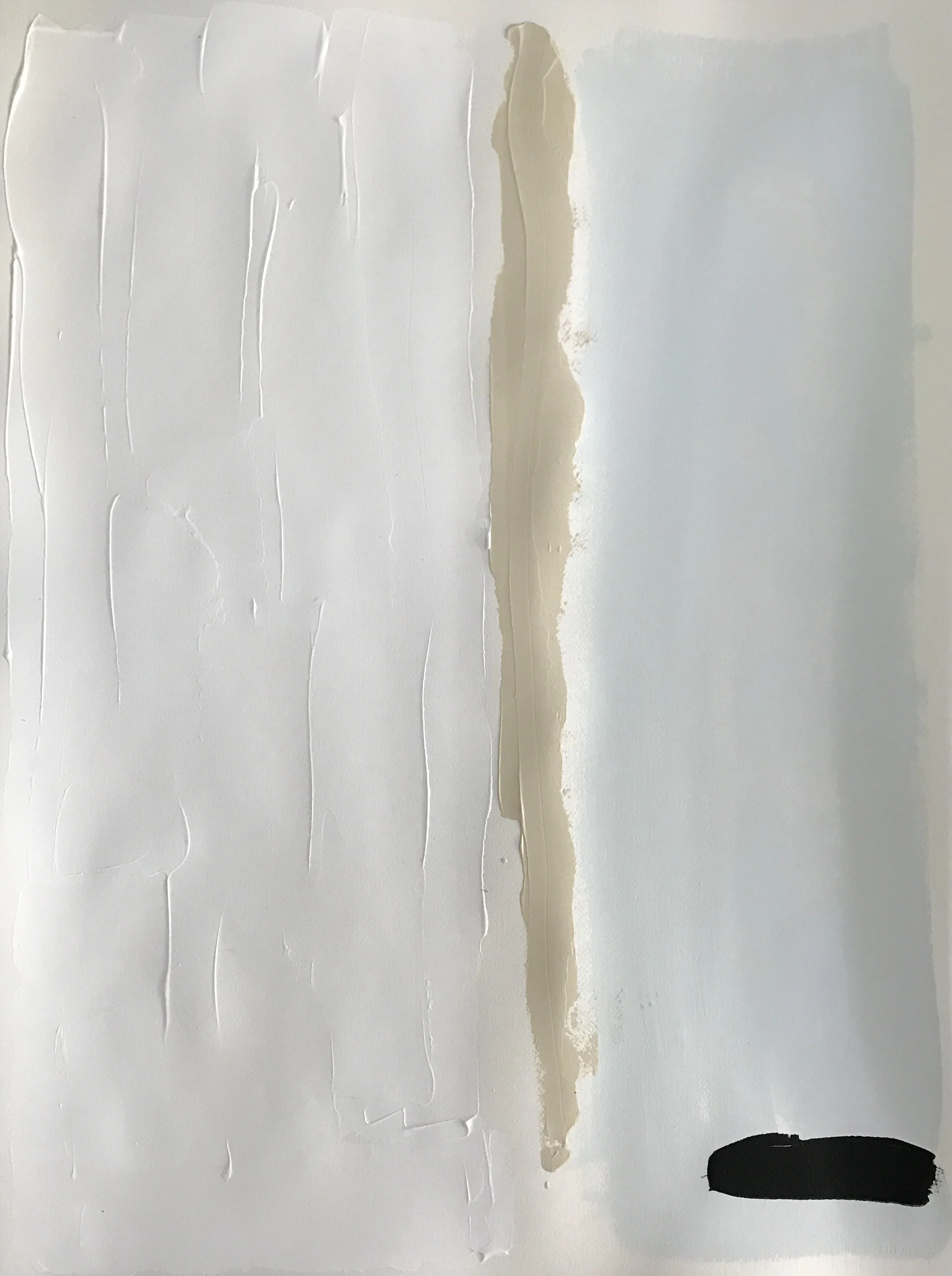 fullsizeoutput_1e1c.jpeg