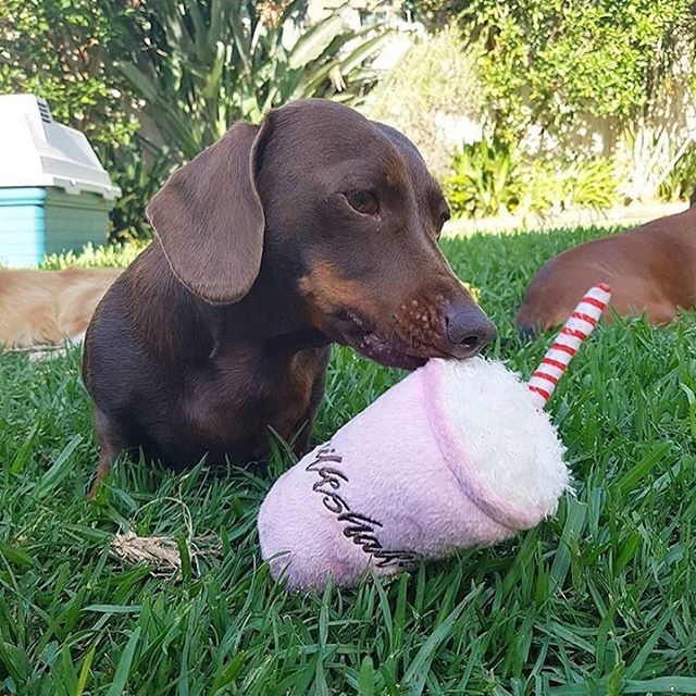 You&rsquo;ve read our minds @biglovelittlelegs - Sunday mornings are the perfect time for a shake! Let me guess strawberry? 💕