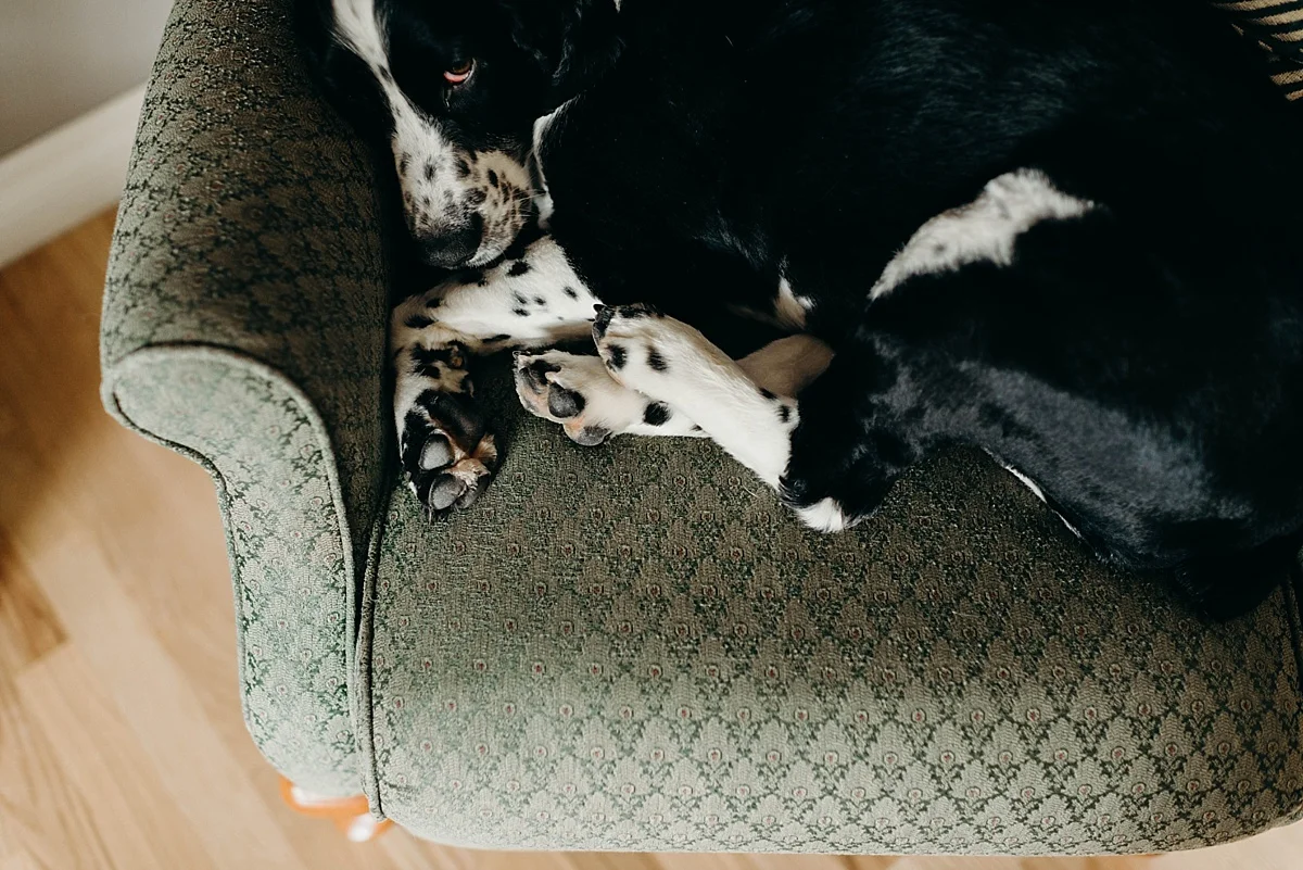 2019-04-11_0005.jpg