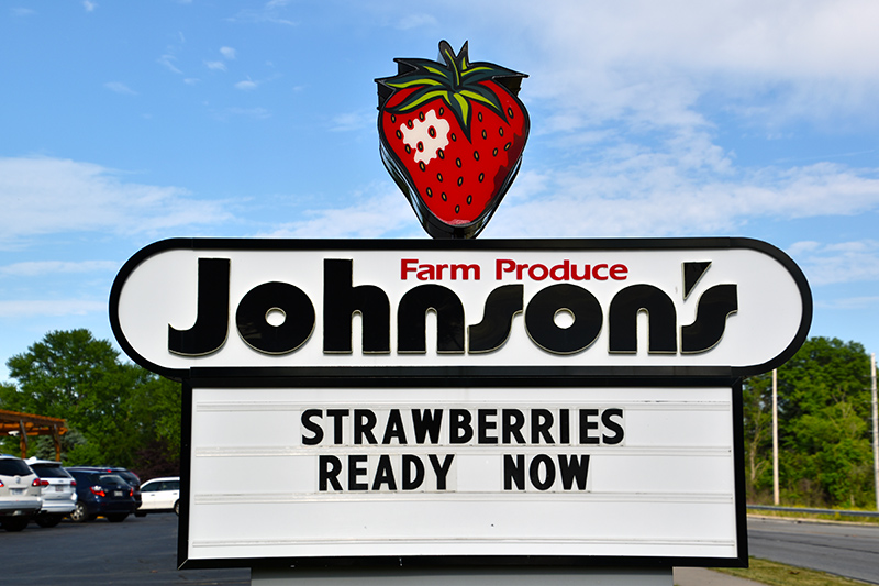 It's strawberry season!