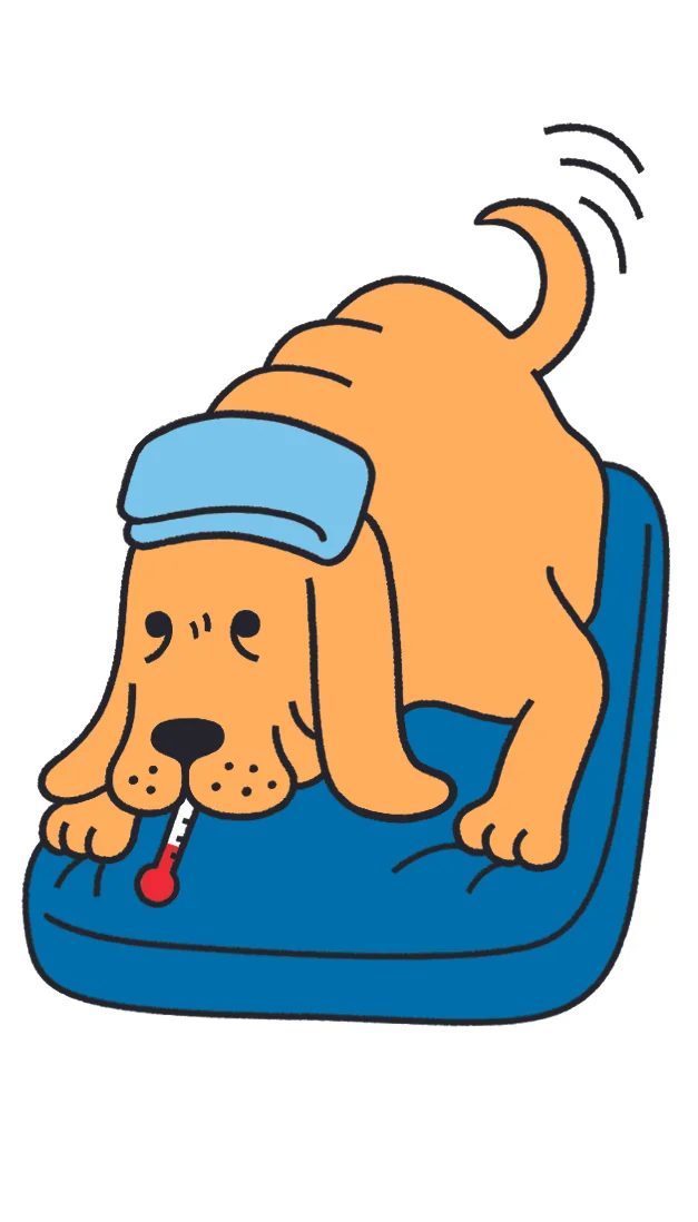 The Ethicist 20151026-2.jpg