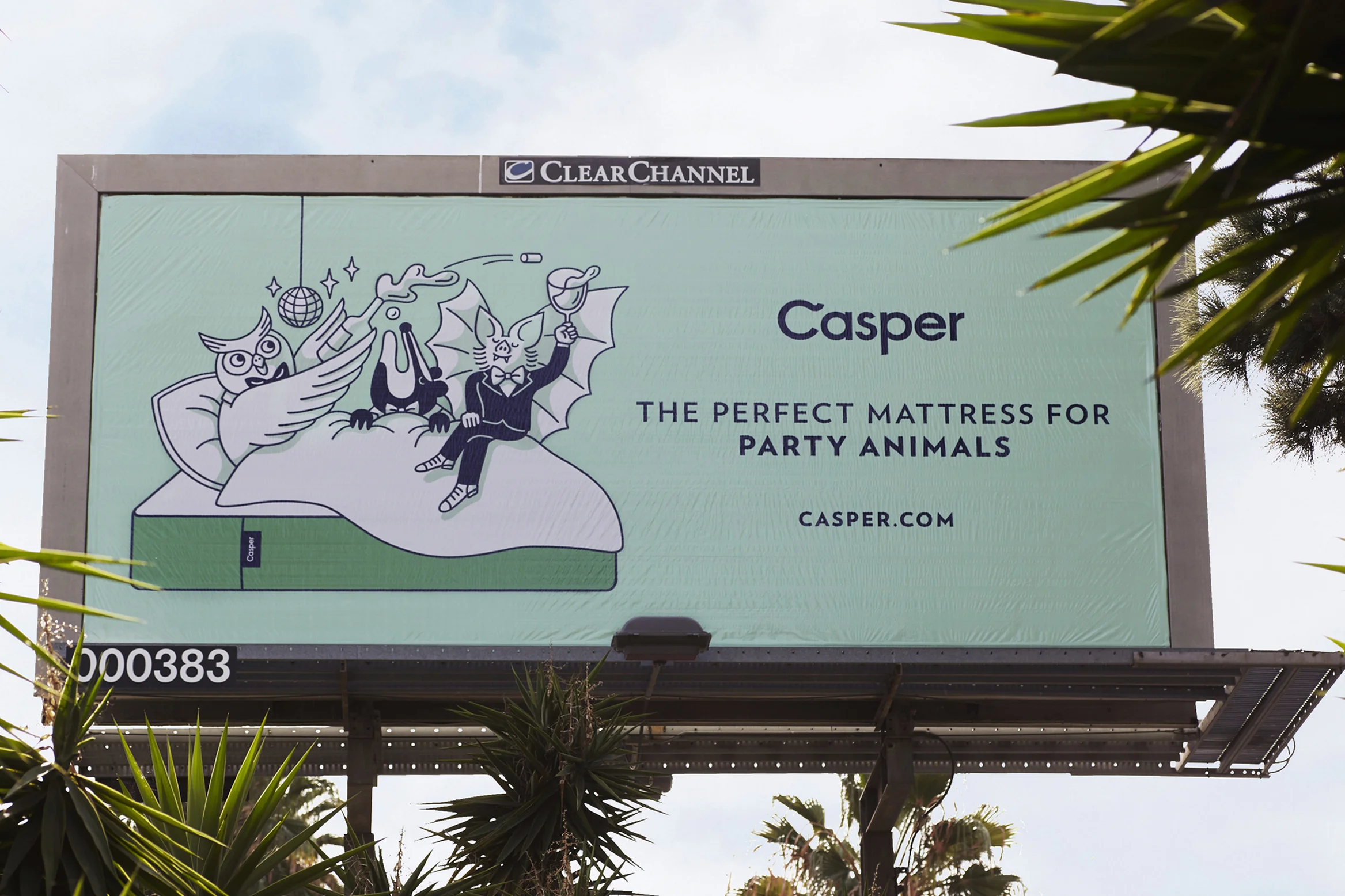 casper-in-the-wild-6.jpg
